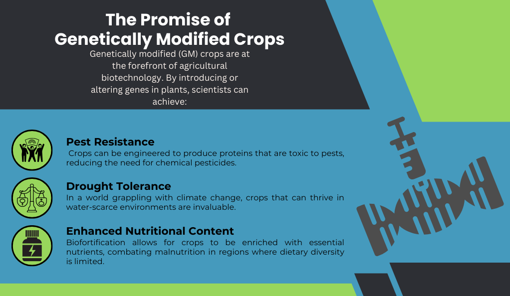 The Promise of Genetically Modified Crops